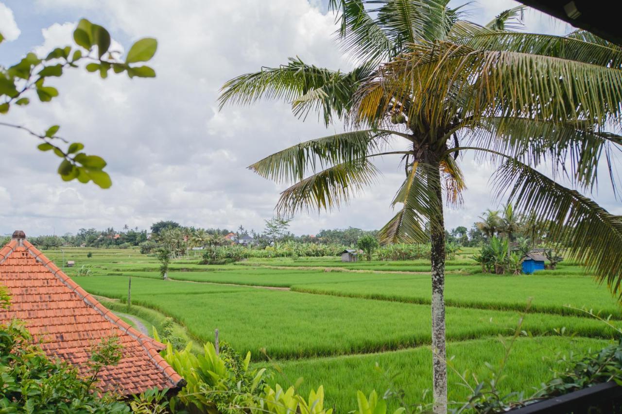 Mancur Guesthouse Ubud Exterior foto